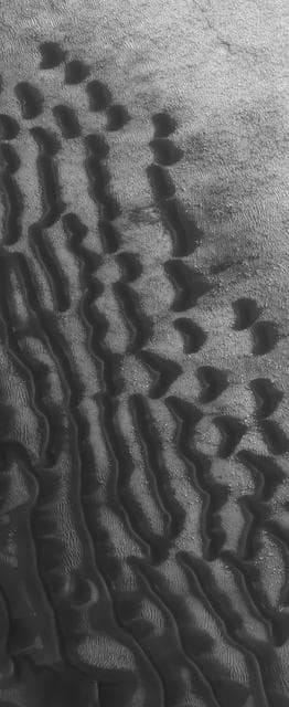 NASA image: Wayward Travelers