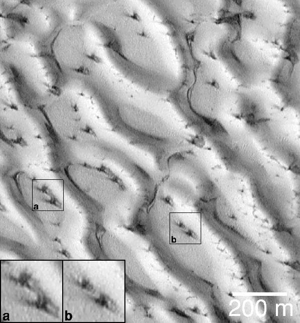 NASA image: Defrosting Polar Dunes--Dark Spots and Wind Streaks