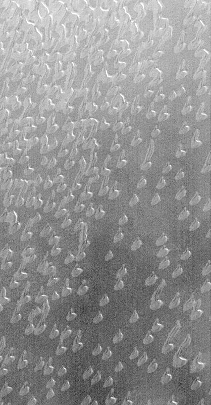 NASA image: Autumn Frost, North Polar Sand Dunes