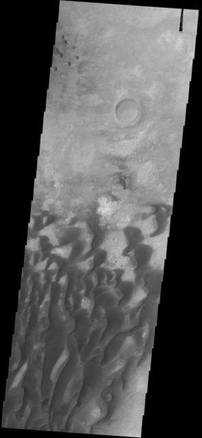 NASA image: Sand Dunes