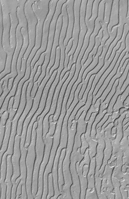NASA image: Mars South Polar Cap "Fingerprint" Terrain