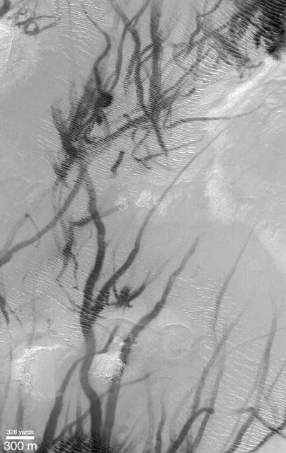 NASA image: Dust Devils Seen Streaking Across Mars: PART 1--What Are These?