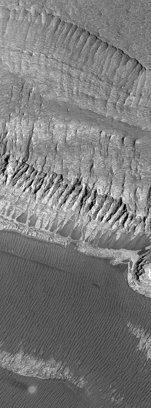 NASA image: Layers and a Dust Devil in Melas Chasma