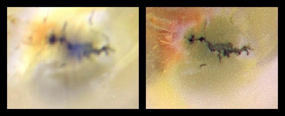 NASA image: Close-up of Zamama, Io Color