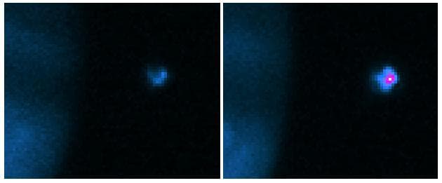 NASA image: Earth-based images of the Fall 1999 Loki Eruption