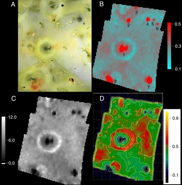 NASA image: Prometheus Silicates/Sulfur dioxide/NIMS
