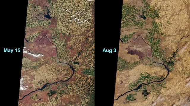 NASA image: MISR Views a Fire-Scarred Landscape