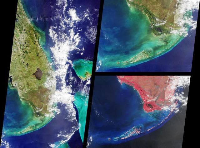 NASA image: MISR Views Southern Florida
