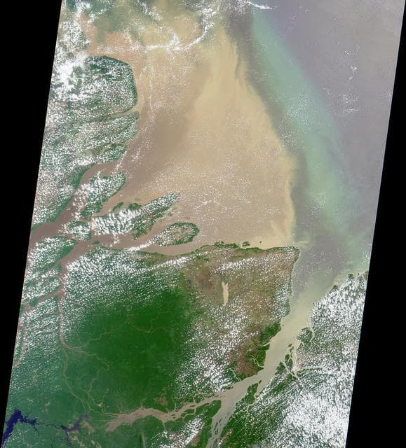 NASA image: Mouth of the Amazon