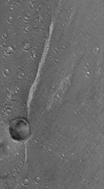 NASA image: Utopia Plain