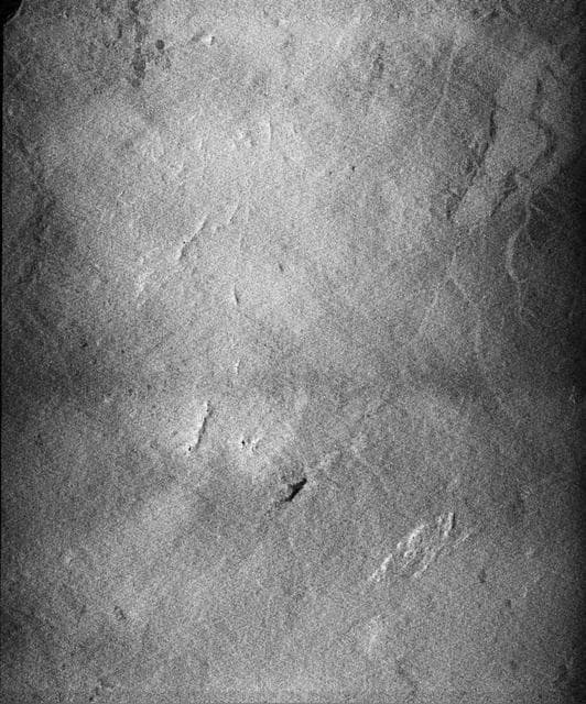 NASA image: Radar Image of Rio Sao Francisco, Brazil