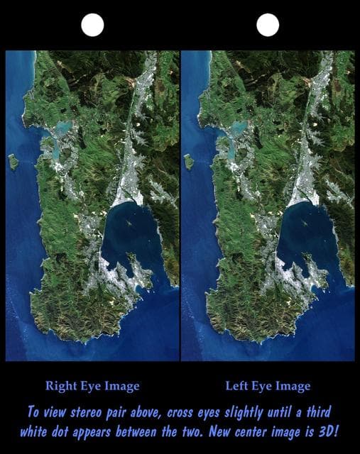 NASA image: Stereo Pair: Wellington, New Zealand