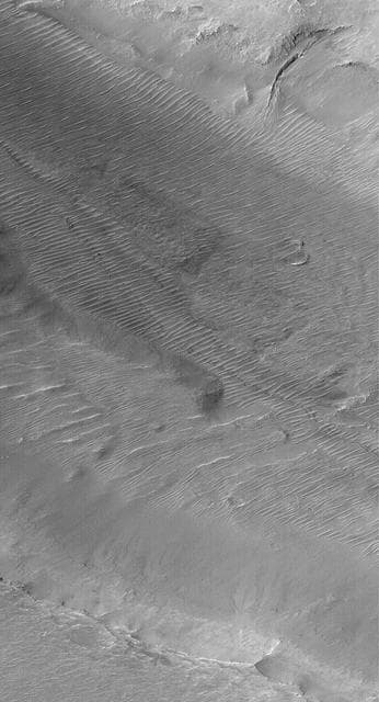 NASA image: Channels and Gullies in Nirgal Vallis--The Work of Water?