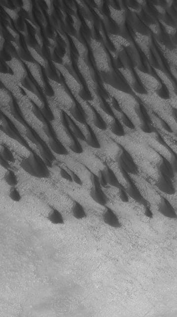 NASA image: Dunes in Brashear