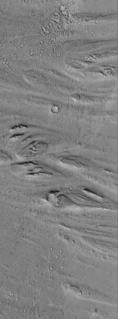 NASA image: Cerberus Flood Features