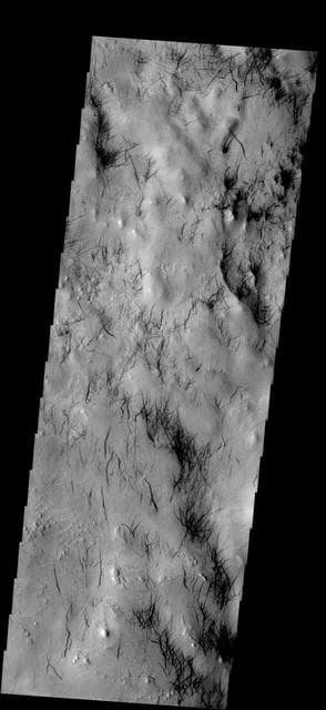 NASA image: Dust Devil Tracks