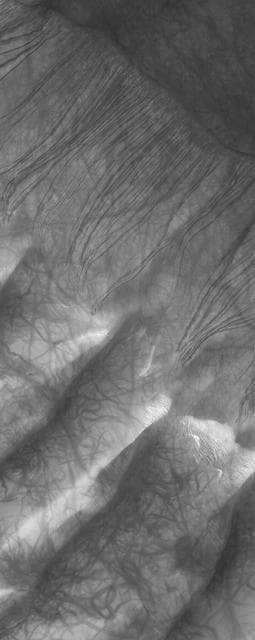 NASA image: Russell Dune Gullies