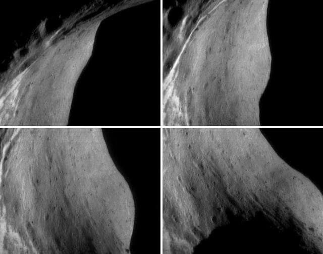 NASA image: Tracking a Feature on Eros