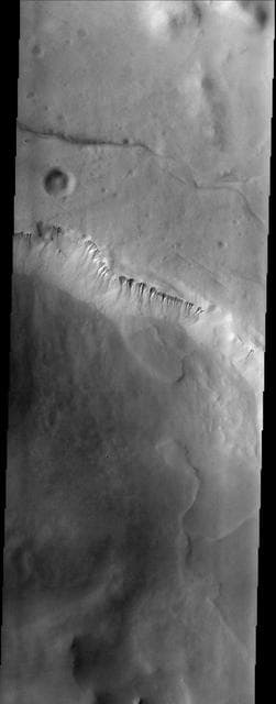 NASA image: Lyell Gullies