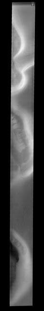 NASA image: Polar Gullies