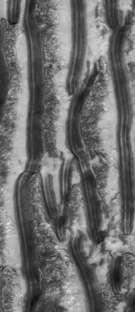 NASA image: Richardson Dunes