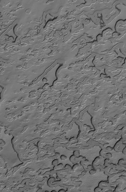 NASA image: Polar Summer
