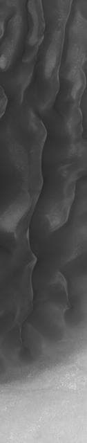 NASA image: Dunes in Noachis