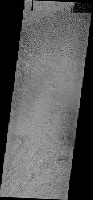 NASA image: Elysium Winds