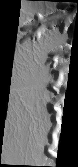 NASA image: Surface Dissection