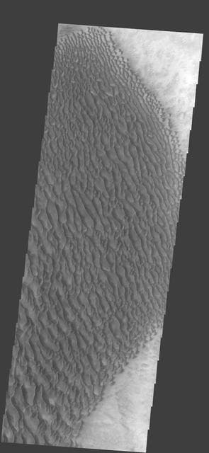 NASA image: Proctor Cr. Dunes