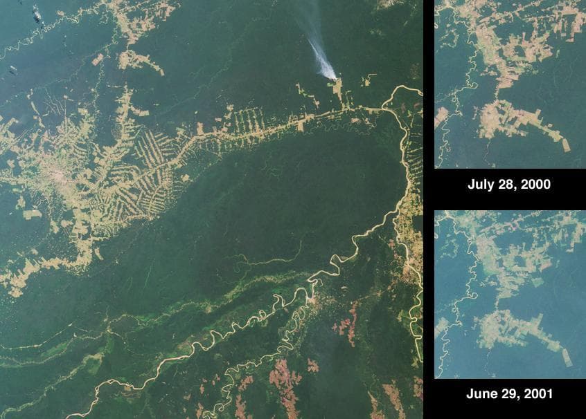NASA image: Deforestation near Rio Branco, Brazil