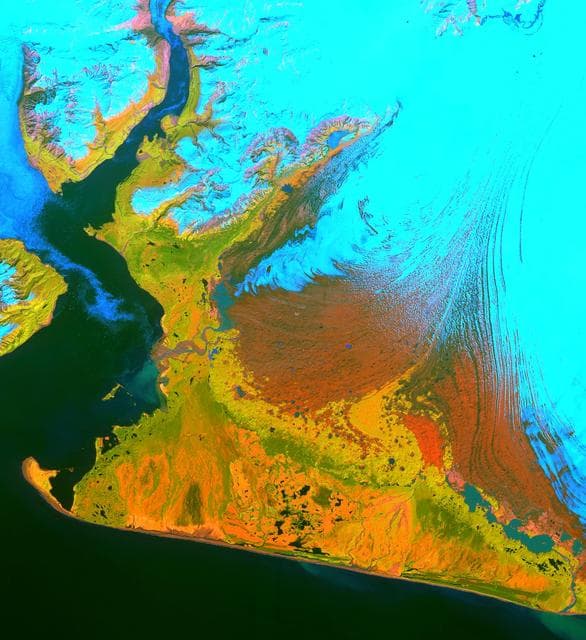 NASA image: Malaspina Glacier, Alaska