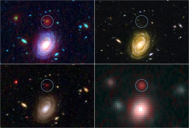NASA image: Big Galaxy in Baby Universe