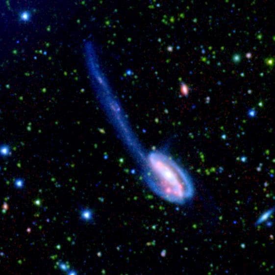 NASA image: A SWIRE Picture is Worth Billions of Years