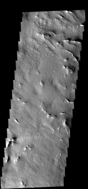 NASA image: Gigas Sulci Features