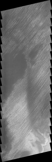 NASA image: Polar Lines