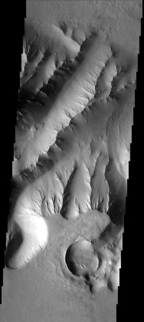 NASA image: Students Target