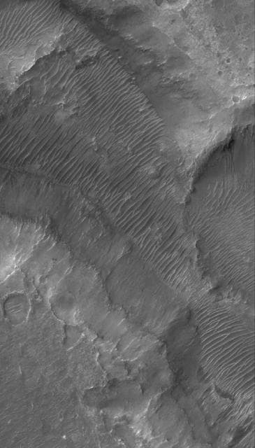 NASA image: Nirgal Vallis