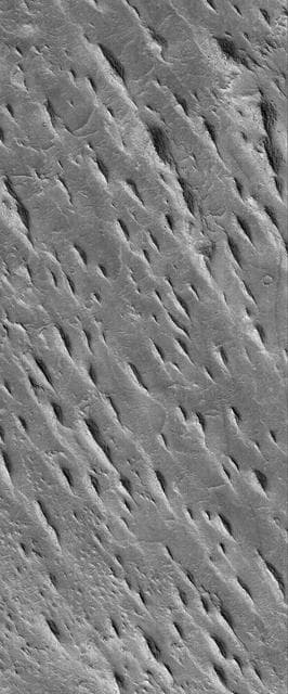 NASA image: Aeolis Yardangs