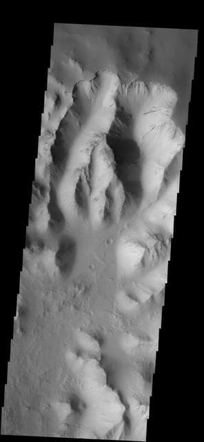 NASA image: Canyon Dust