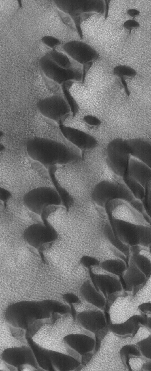 NASA image: North Polar Dunes