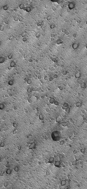 NASA image: Secondary Field