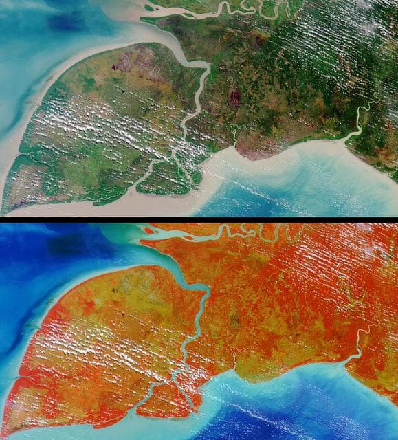 NASA image: Where on Earth...? MISR Mystery Image Quiz #10:<br .>Pulau Kimaam, West Papua