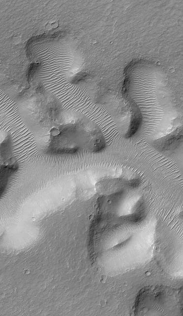 NASA image: Nirgal Vallis and its Windblown Dunes