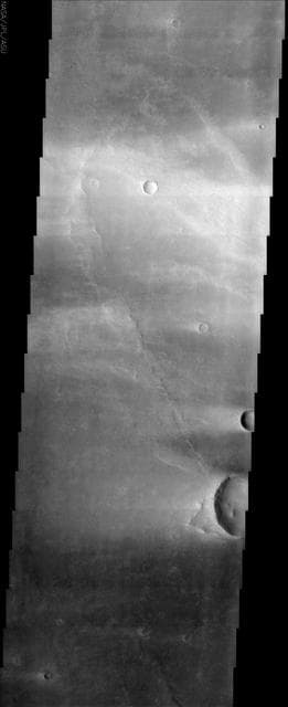 NASA image: Syrtis Major