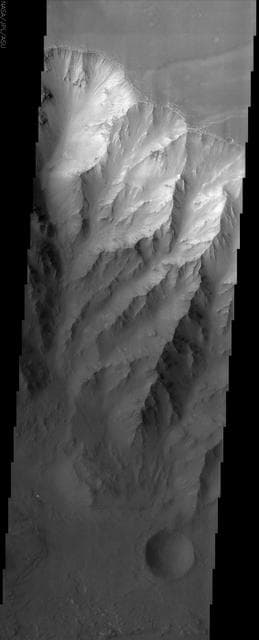 NASA image: Coprates Chasma