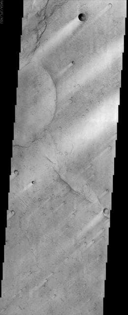 NASA image: Syrtis Major