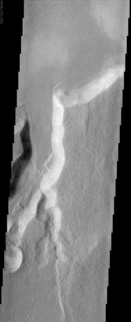 NASA image: Northwestern Branch of Mangala Vallis