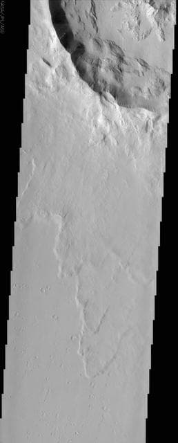 NASA image: Amazonis Planitia