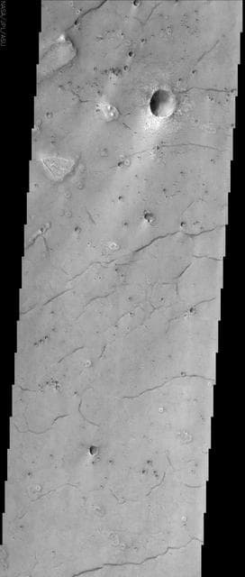 NASA image: Acidalia Planitia